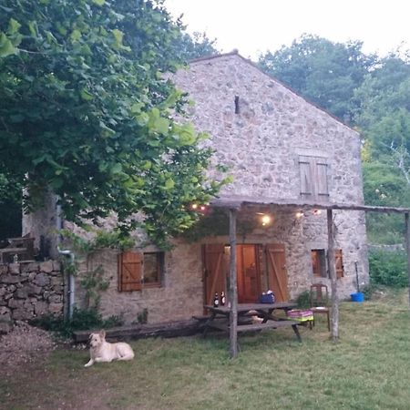 Maison De Vignes De Tournemire Tournemire  Exterior foto