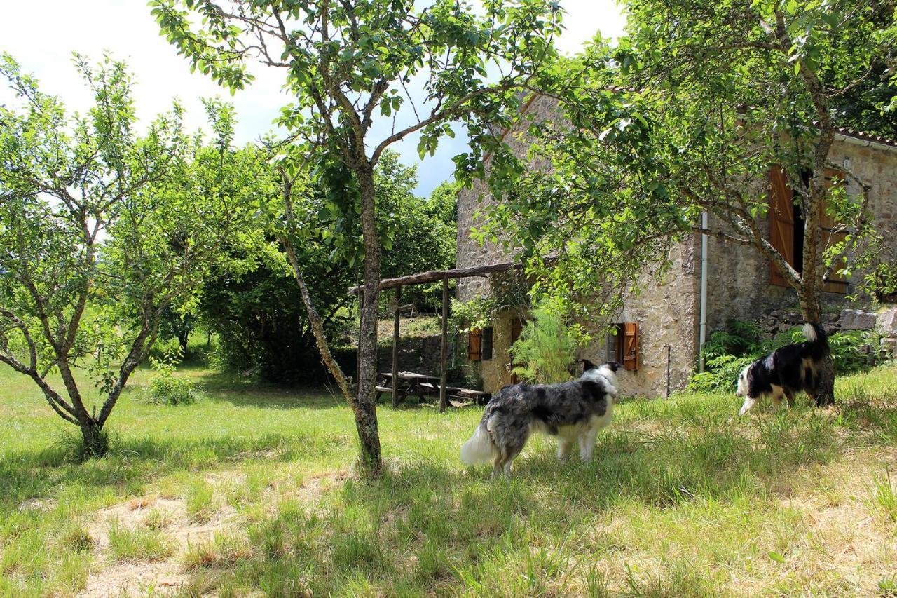 Maison De Vignes De Tournemire Tournemire  Exterior foto